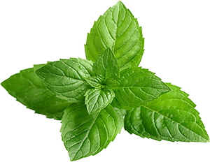mint